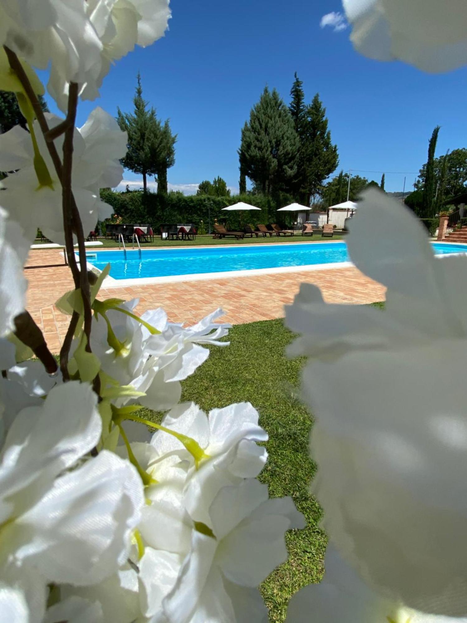 Villa Piero Bisignano Extérieur photo